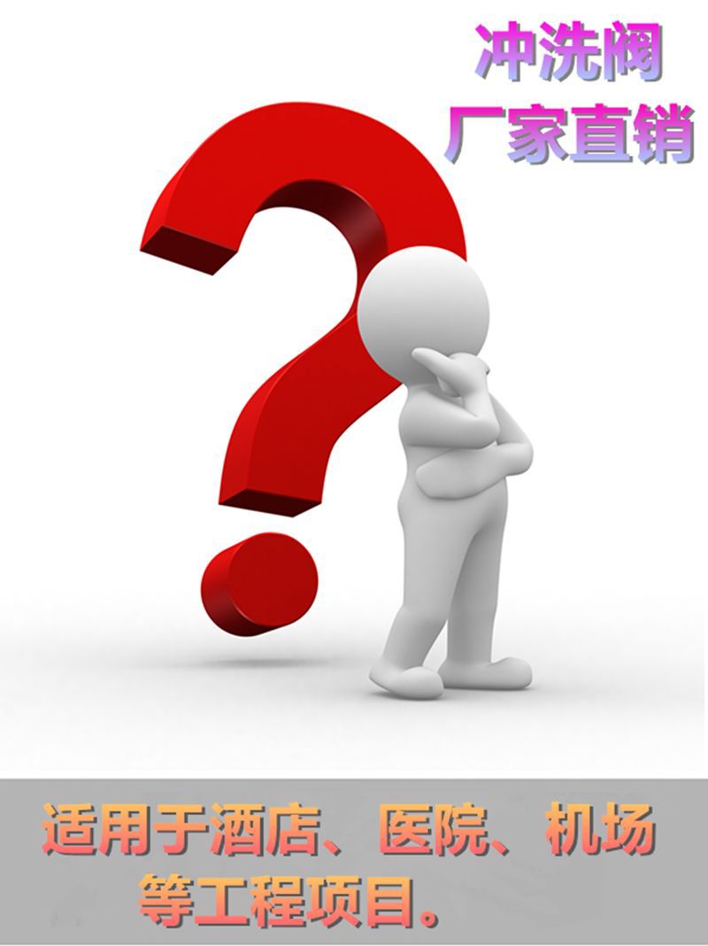 全铜蹲便器冲水阀便池手按式大便冲洗阀门厕所卫生间延时阀